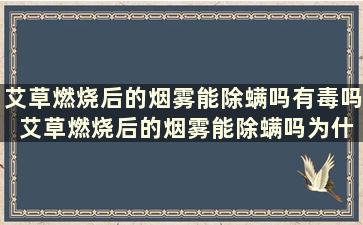 艾草燃烧后的烟雾能除螨吗有毒吗 艾草燃烧后的烟雾能除螨吗为什么